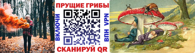 Галлюциногенные грибы MAGIC MUSHROOMS kraken ТОР Константиновск